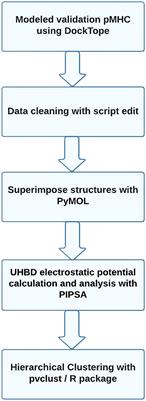 MatchTope: A tool to predict the cross reactivity of peptides complexed with Major Histocompatibility Complex I